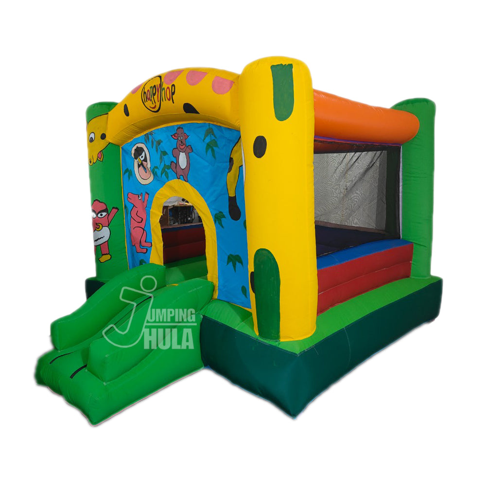 Outdoor Slide Bouncy 9x12 Feet